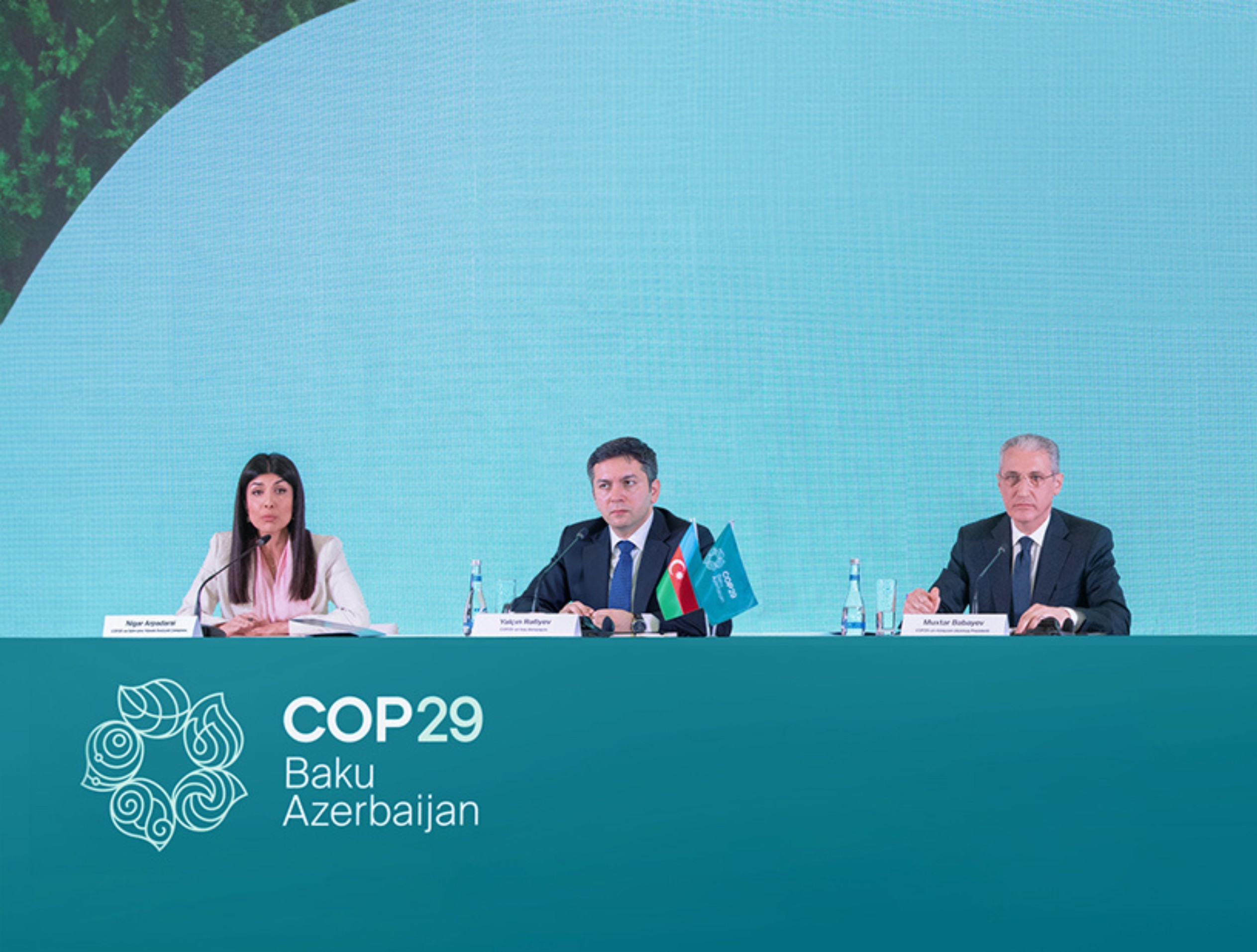 Business Territory: COP29: Who will pay the climate change bill?