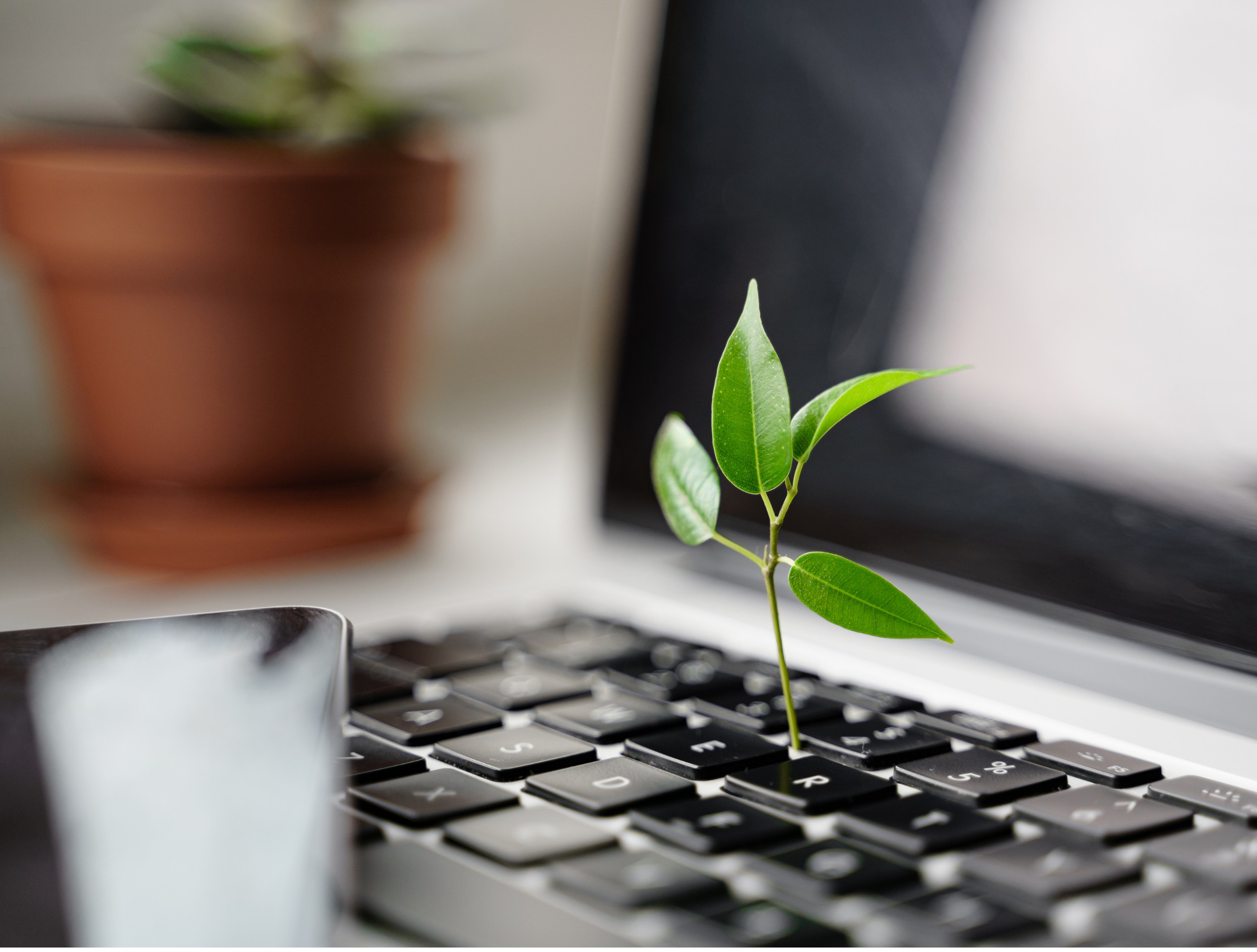 Business Territory: The future of entrepreneurship is digital and sustainable