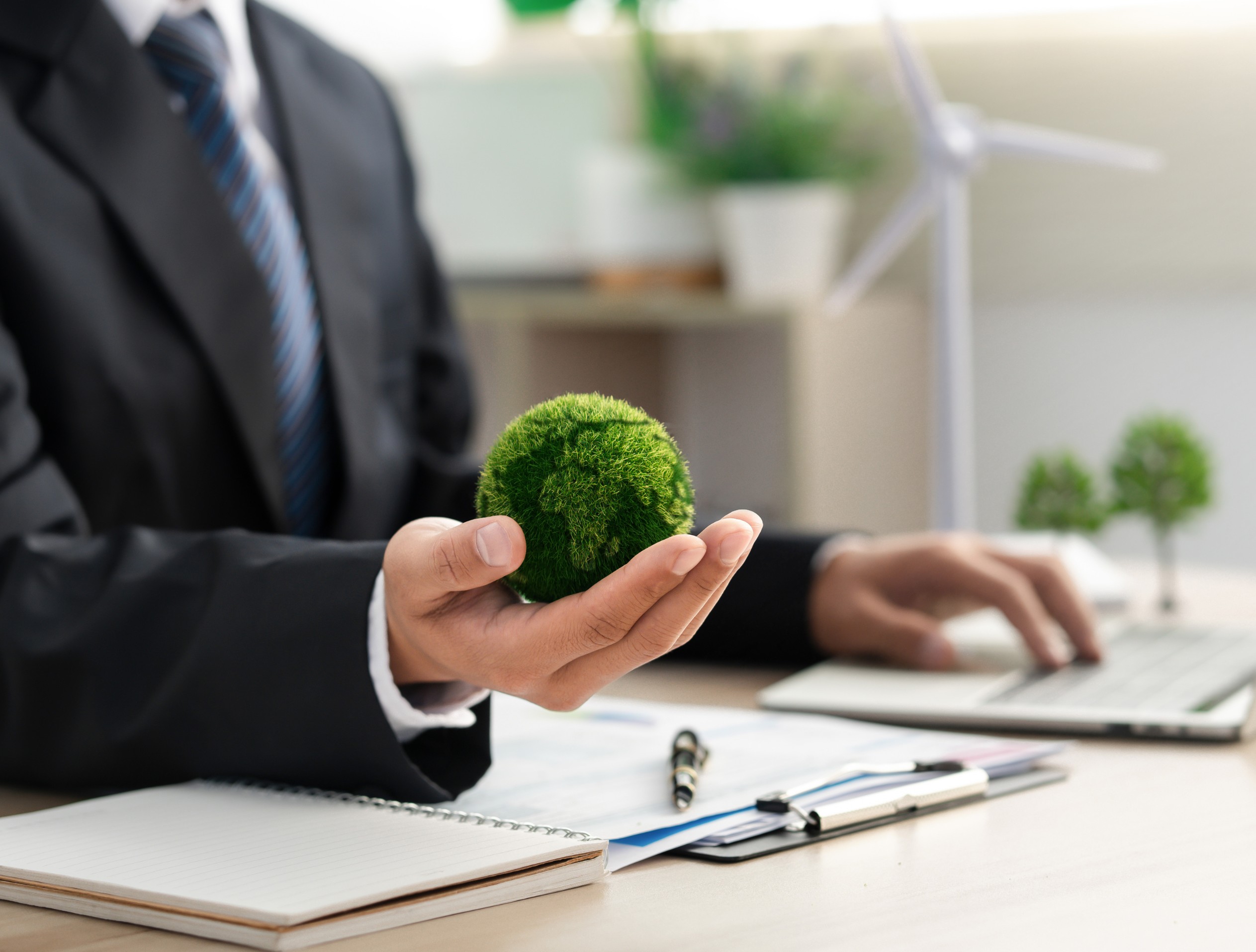 Territorio Negocios: Tu empresa puede salvar al planeta